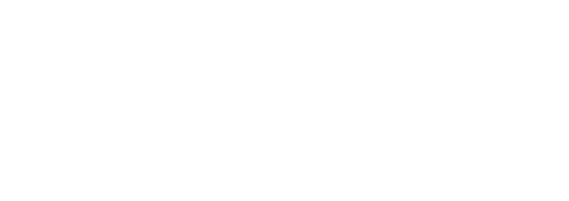 TIG Turret